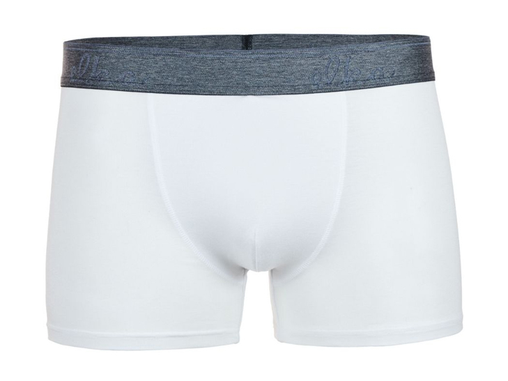 boxerky-z-micromodalu-elka-premium-pb1096-bila2